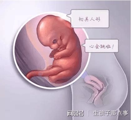 案例
